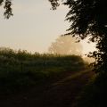 DSC_8013_250906-0705.png